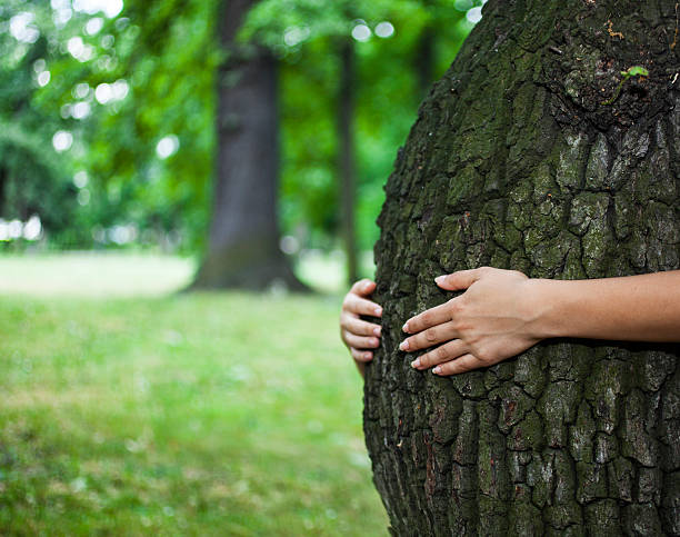 koncepcja ochrony środowiska - human pregnancy earth globe mother zdjęcia i obrazy z banku zdjęć