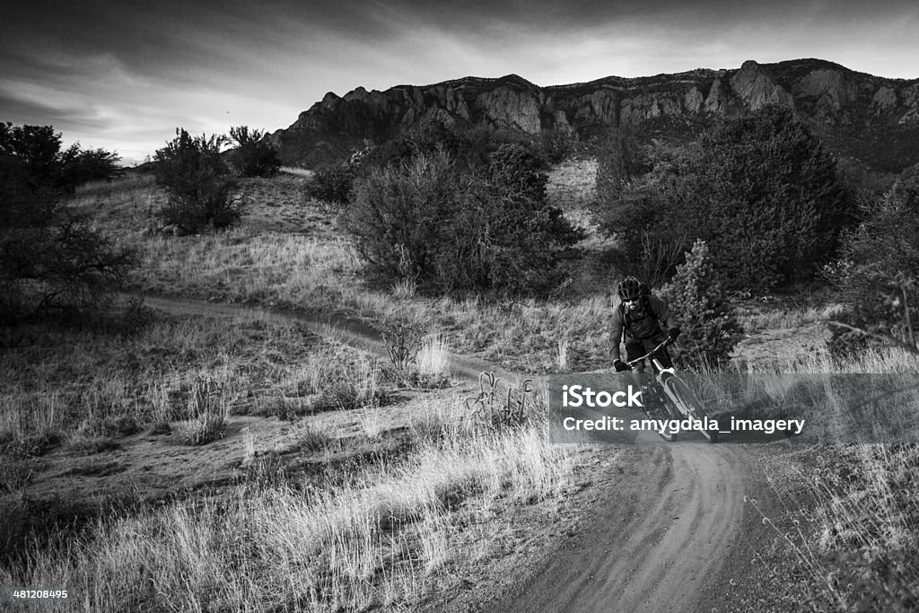 Andar de Bicicleta de montanha Paisagem - Royalty-free Adulto Foto de stock