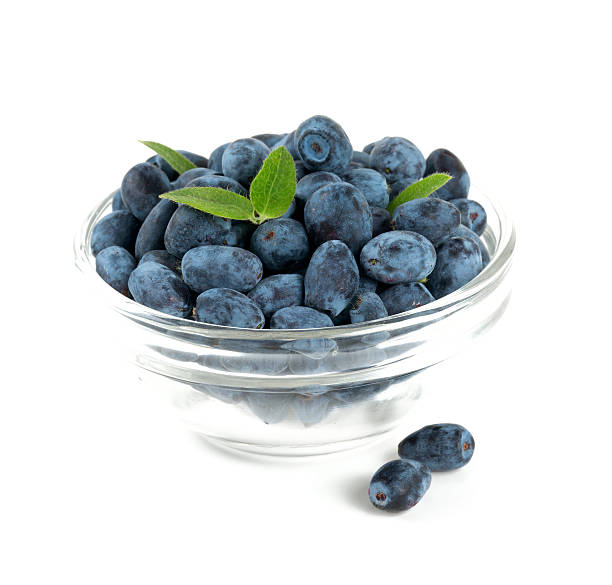istock Honeysuckle berries in a bowl isolated on white 481208634