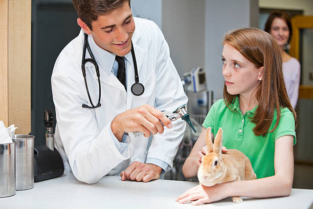 istock Girl taking pet rabbit to vet 481209739