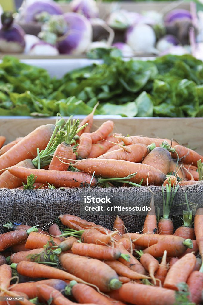 Gospodarstwo świeżych organicznych warzyw na rynku - Zbiór zdjęć royalty-free (Bez ludzi)