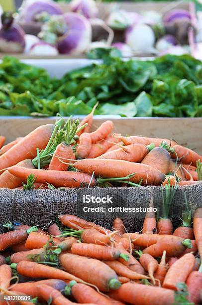 Gospodarstwo Świeżych Organicznych Warzyw Na Rynku - zdjęcia stockowe i więcej obrazów Bez ludzi - Bez ludzi, Brukiew, Błonnik