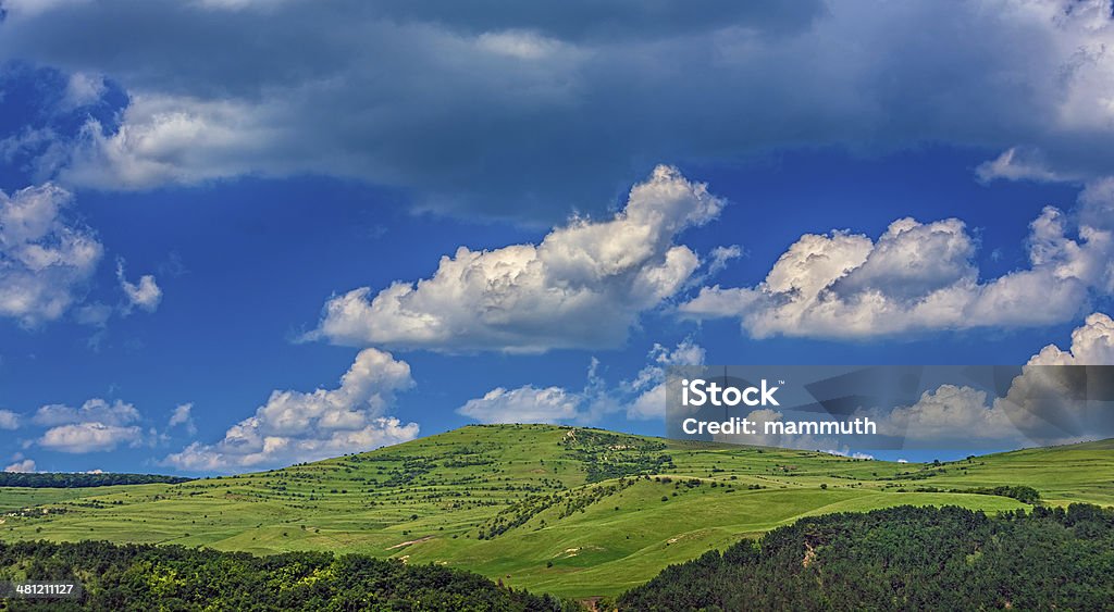 Montañas en un día de verano - Foto de stock de Arboleda libre de derechos