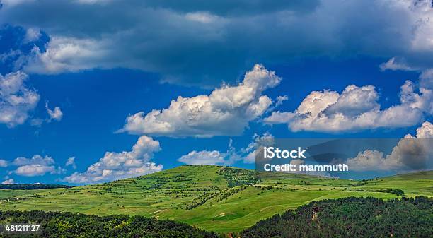 Montañas En Un Día De Verano Foto de stock y más banco de imágenes de Arboleda - Arboleda, Azul, Belleza de la naturaleza