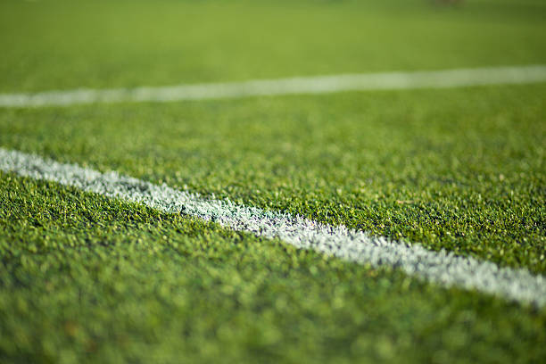 istock Close-up of soccer turf 481211527