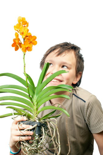 Boy with Orchid.
