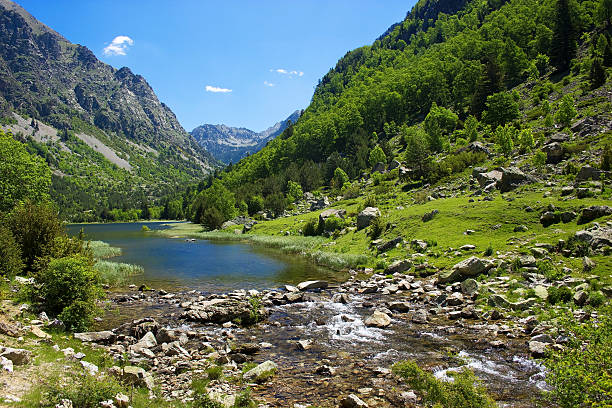 mountain river - vall de boi stock-fotos und bilder