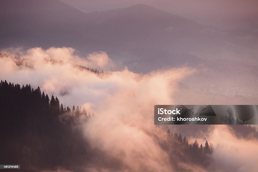 Appalachian mountains foggy morning Appalachian mountains foggy morning, Tennessee, USA Appalachia Stock Photo