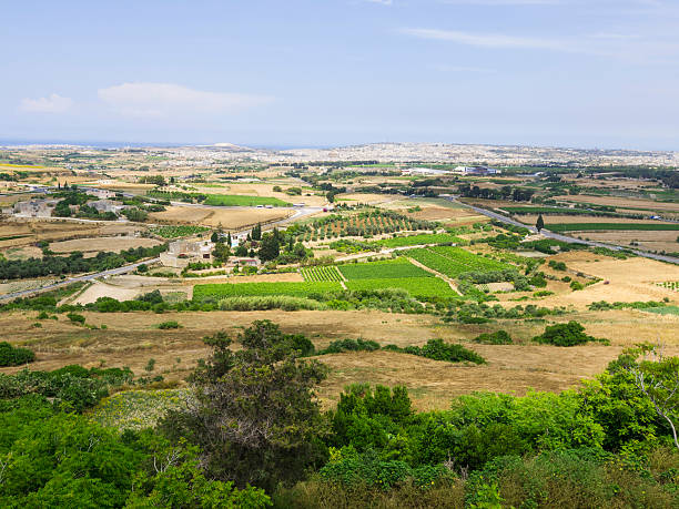 istock Landscape of rural Malta 481215876