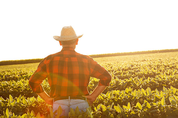 istock Farmer standing in a field and looks into the distance 481216372