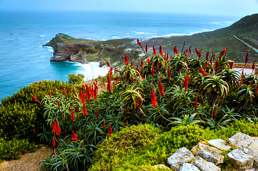 Scenic landscape view from Cape of Good Hope, South Africa.