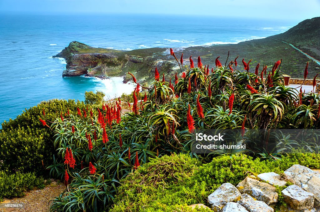 Cape of Good Hope Scenic landscape view from Cape of Good Hope, South Africa. Cape Of Good Hope Stock Photo