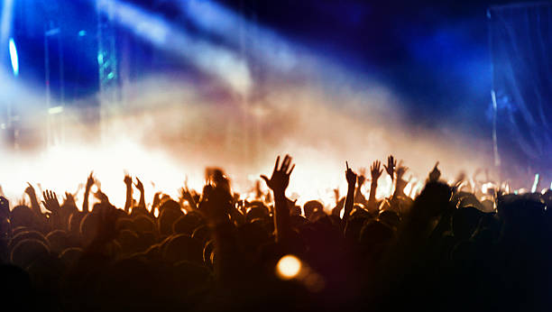 istock Sea of hands at a concert. 481216846