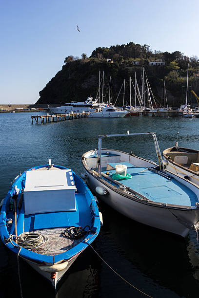 istock Boats in Procida, Italy 481220990