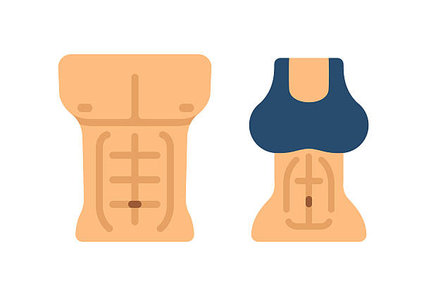 illustrations, cliparts, dessins animés et icônes de abs - male body sport exercising