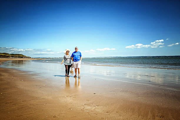 istock Mature smiling couple walking on the beach with dog 481222422