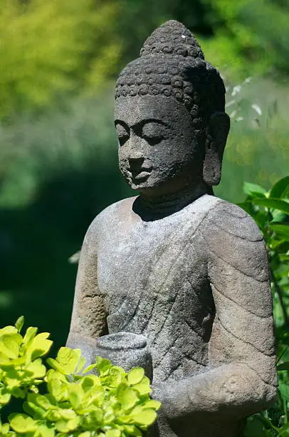 Photo of Garden Buddha