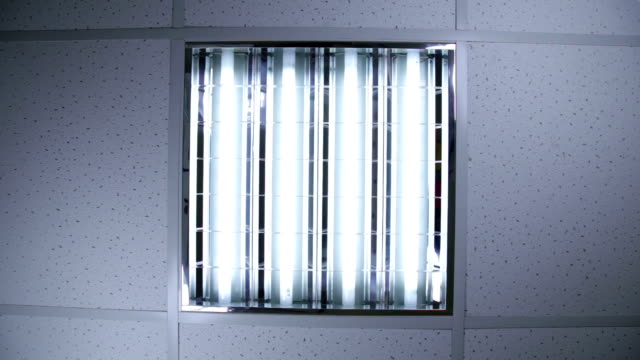 Bank of fluorescent lights in ceiling