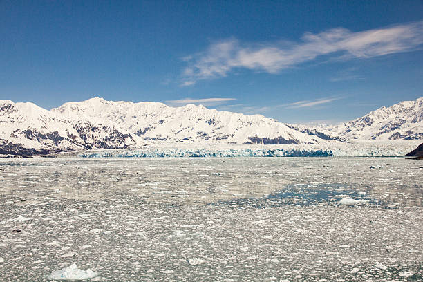 허버드 빙하, 알래스카 (야쿠타 베이에서의 - hubbard glacier 뉴스 사진 이미지