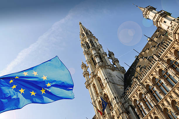 istock The townhall of Brussels 481229270
