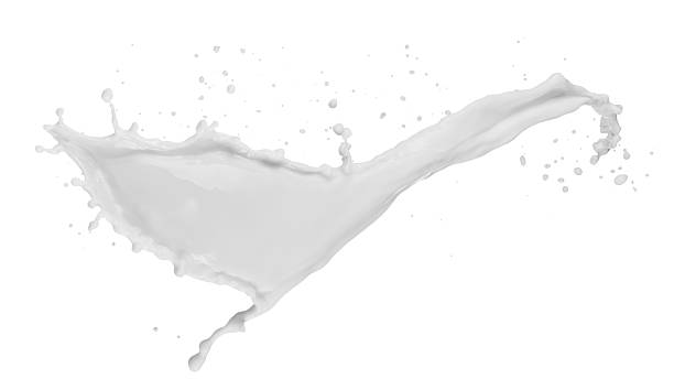 istock milk splash isolated on the white background 481230082