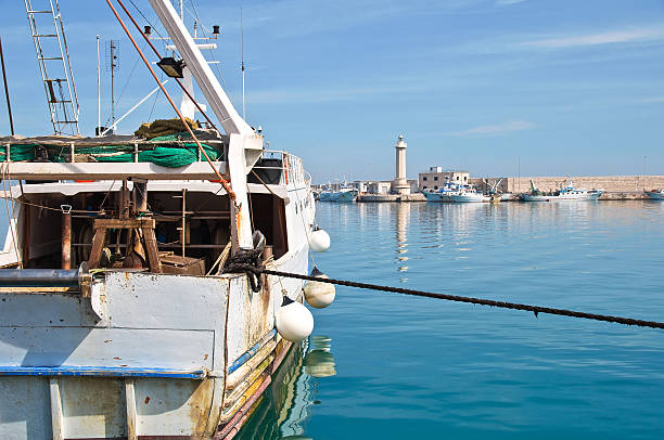 istock Panoramic view of Molfetta. Puglia. Italy. 481231132