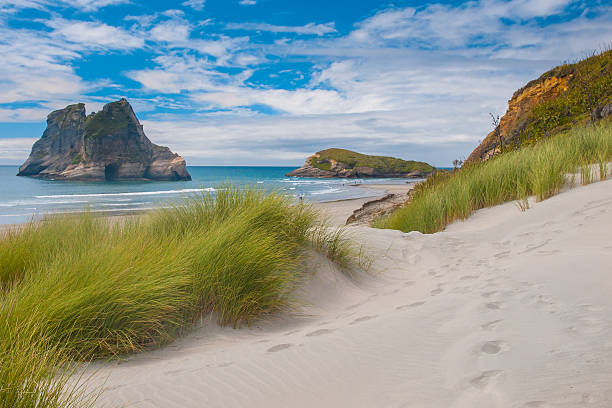 duna vegetazione al famoso wharariki spiaggia, isola del sud, nuova zelanda - golden bay foto e immagini stock