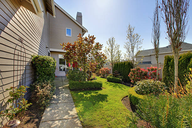istock Backyard of the large beige house with walkway 481232299