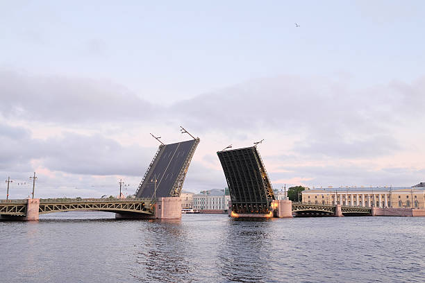 istock Open Palace bridge from the Neva river 481235920
