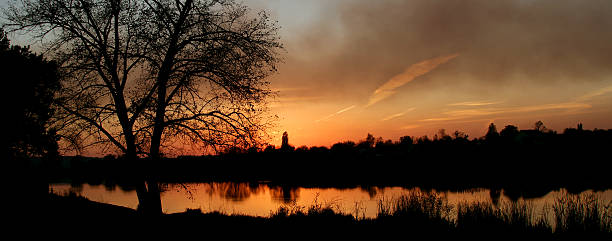 sunset on the oak grove on a lake, oak tree on the lake at sunset, sun above the lake, sunset on the autumn river, Silhouette of a tree at dawn, timelapse of sunset