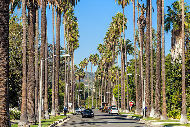 istock Streets of Beverly Hills 481236598