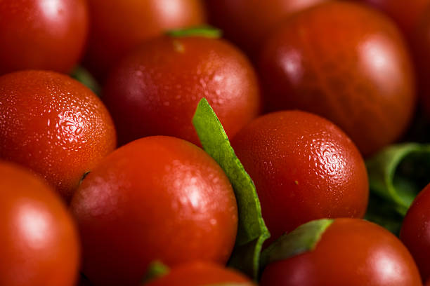 Fresh oragnic ripe cherry tomato