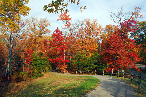 Autumn trees in Maryland at Downs Park