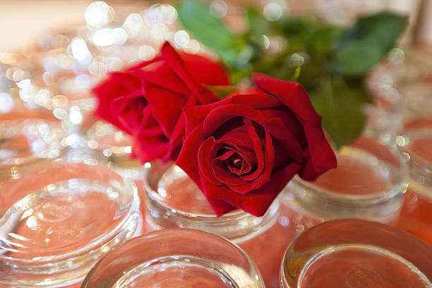 istock Close-up to Rose on Glass 481239082