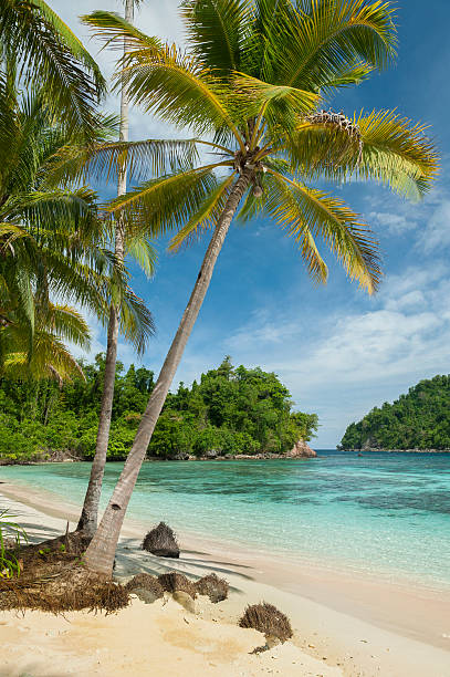 istock Potil Island, Indonesia 481239159