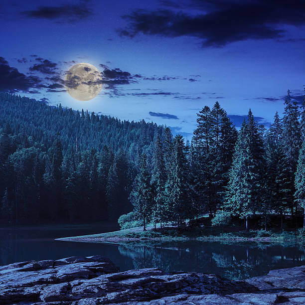 istock pine forest and lake near the mountain at night 481239163