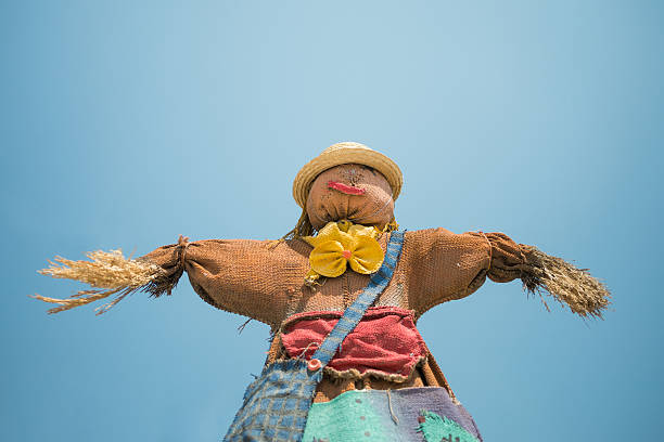 istock Cute colorful scarecrow under bright blue sky 481240403