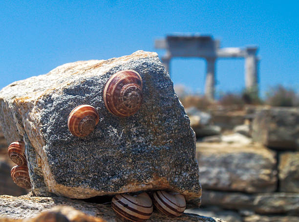 Ancient symmetry at sacred island Delos, Greece