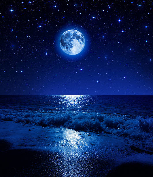 istock romantic scene in the sea - night 481243093