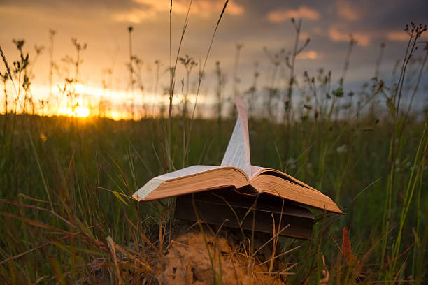 istock Opened hardback book with fanned pages on blurred nature background 481244718