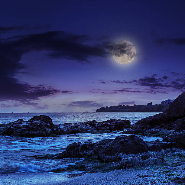 istock sea wave breaks about boulders at night 481244901