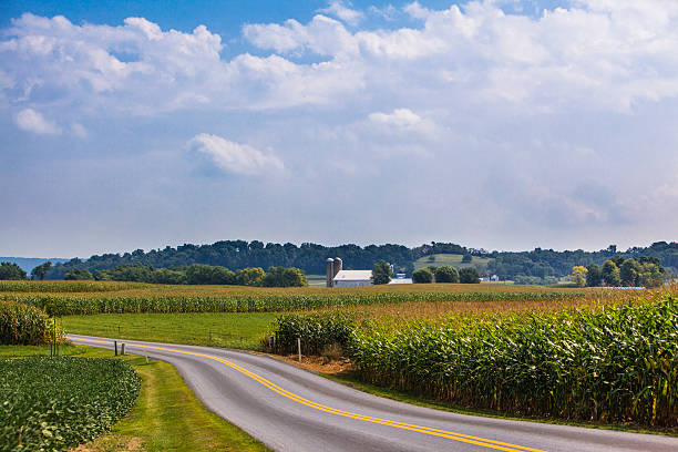récolter temps.   fermes & fields, le pennsylvania dutch country à lancaster county - landscaped sign farm landscape photos et images de collection