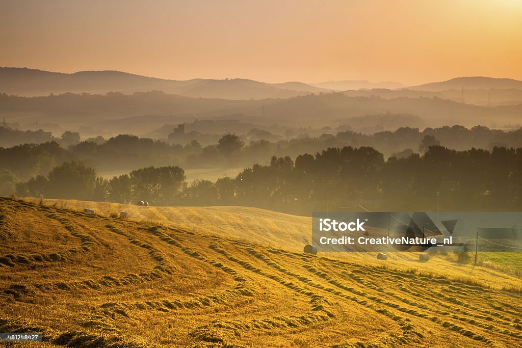 Tuscan espaço rural ao nascer do sol, Itália - Royalty-free Agricultura Foto de stock