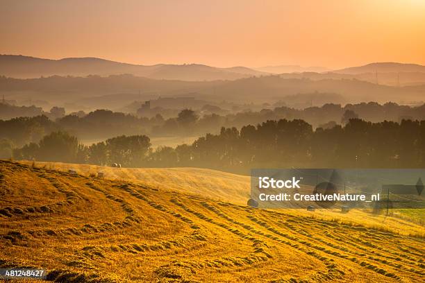 Tuscan Espaço Rural Ao Nascer Do Sol Itália - Fotografias de stock e mais imagens de Agricultura - Agricultura, Amanhecer, Anoitecer