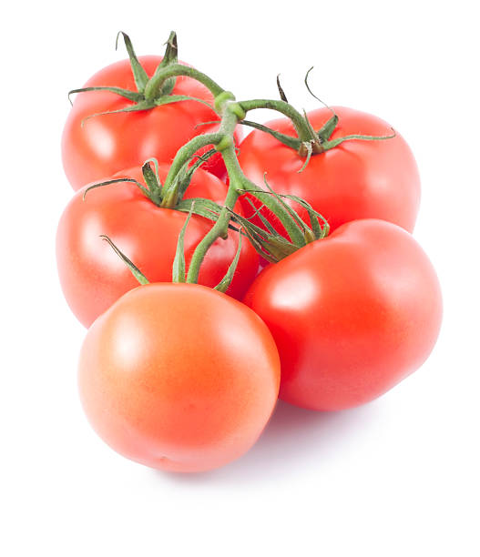 istock Ripe tomatoes on branch 481248460