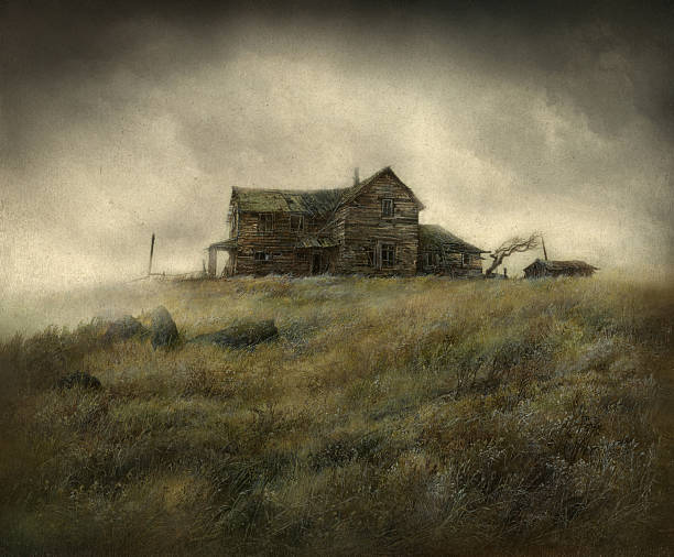 dziki zachód house - haunted house stock illustrations