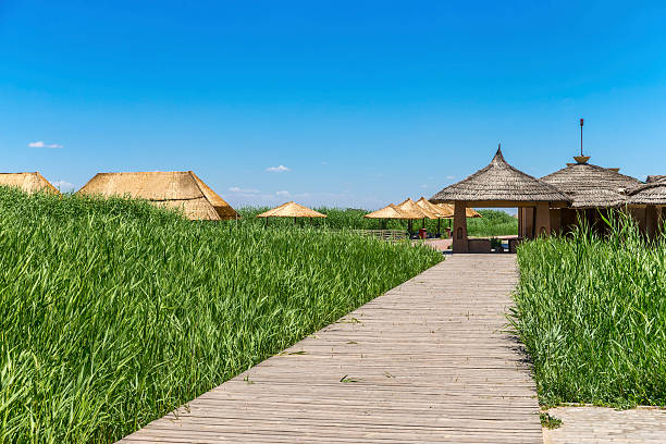 ombrelloni da spiaggia in sabbia lake park, ningxia della cina - guyuan foto e immagini stock