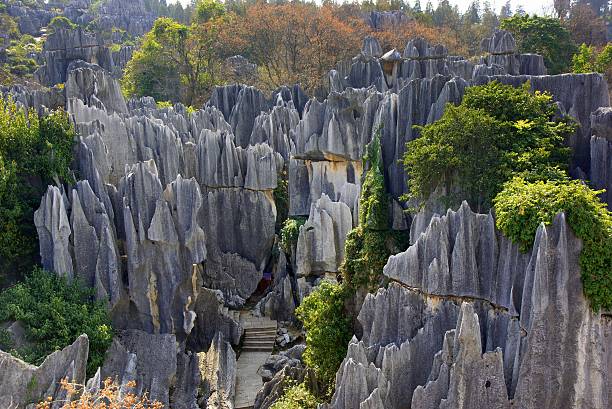 floresta de pedra de shilin em kunming, yunnan, china - the stone forest - fotografias e filmes do acervo