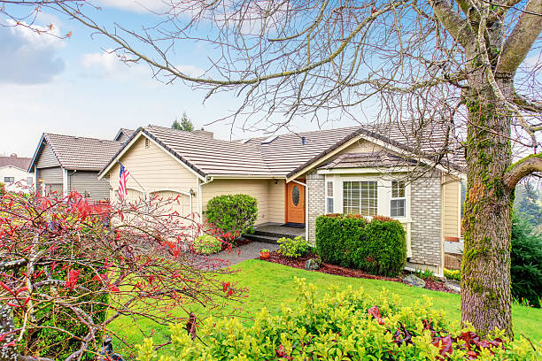 istock Classic american home with double door entry. 481252408