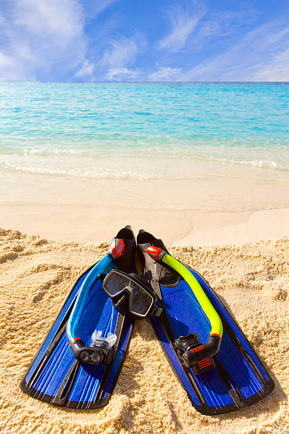 istock Accessory for Snorkeling -mask, flippers,  tube-lay on sand 481254356